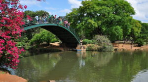 Ibirapuera 1024x570